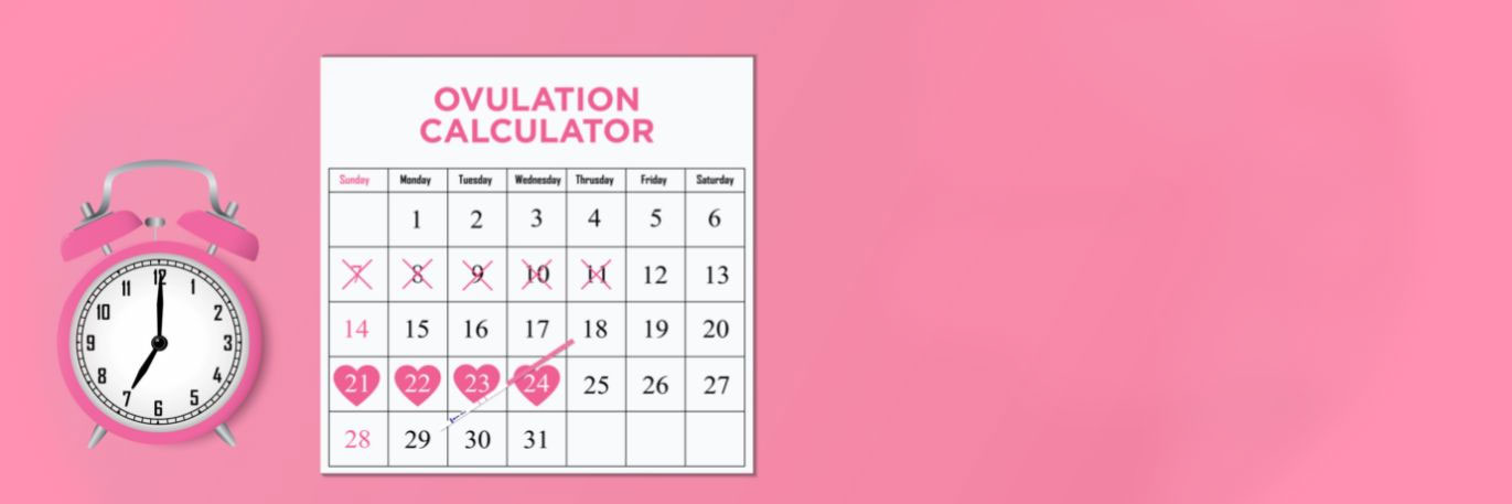 Your Fertility Calendar: The Best Days to Get Pregnant Ranked in Order