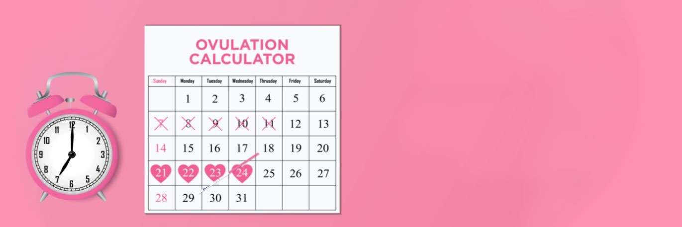 Period Calculator Track Your Period And Ovulation